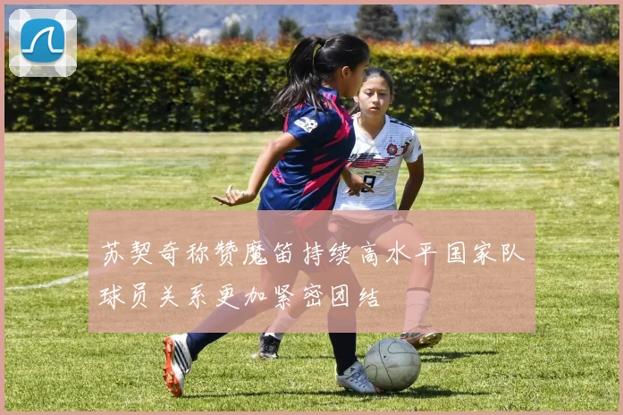 苏契奇称赞魔笛持续高水平国家队球员关系更加紧密团结