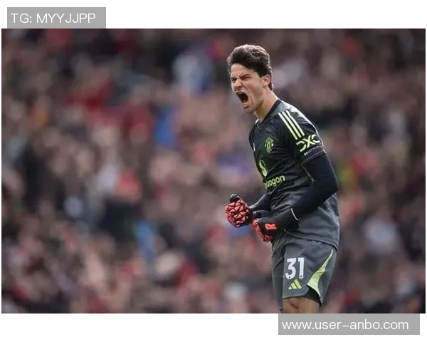 舒梅切尔赞拉门斯年轻却成熟表现出色攻防转换果断带来安全感